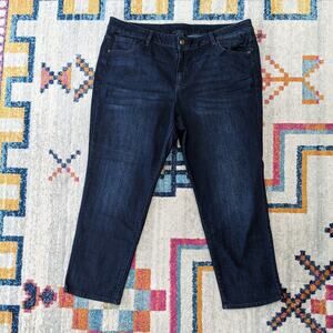 Lane Bryant Venezia Womens 24S Short Straight Dark Wash Jeans NWOT